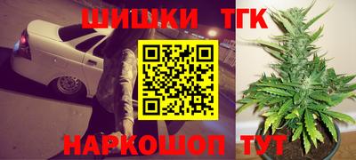 СК Лесосибирск